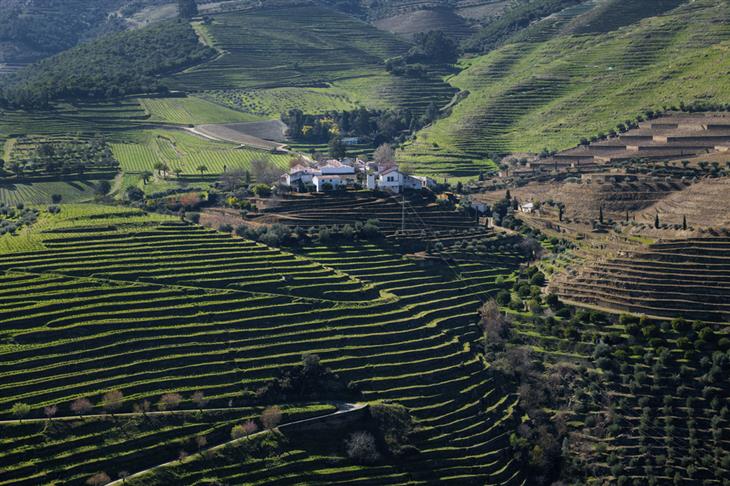 Paisajes de la cultura del vino en Portugal