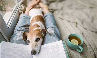 Prueba de imagen y clic: perro en un libro