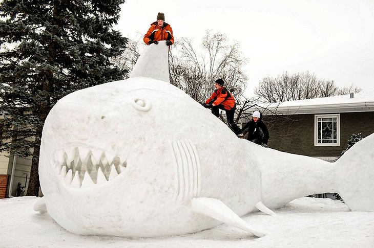 Esculturas De Nieve, tiburón