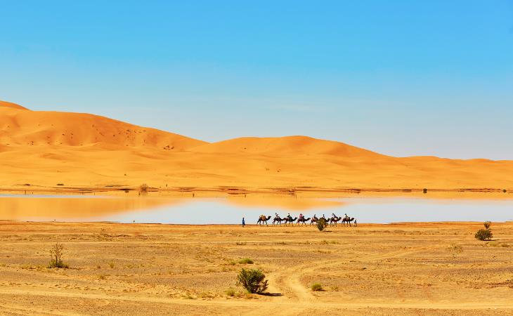 Datos Sobre El Desierto Del Sahara