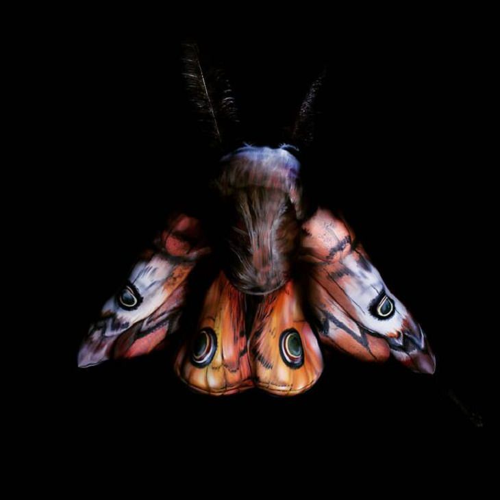 Arte Corporal, mariposa