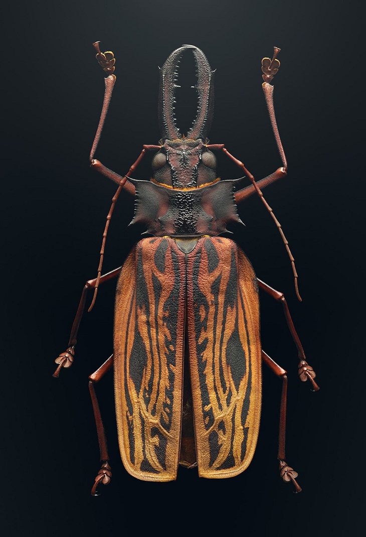 Macro Fotos de Insectos, escarabajo de cuernos largos