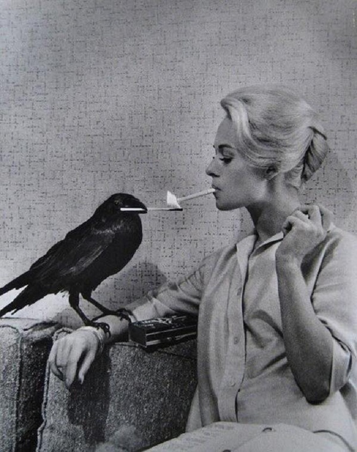 La actriz estadounidense Tippi Hedren mientras un cuervo enciende su cigarrillo en el set de Los pájaros, 1963