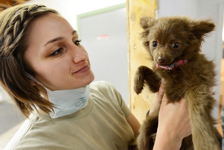 12 Cosas Que Los Veterinarios Quieren Que Sepas, veterinaria sostiene a un cachorro