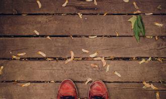 Encuentra las diferencias en otoño: hojas en un piso de madera