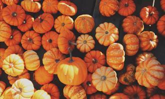 Encuentra las diferencias en otoño: calabazas