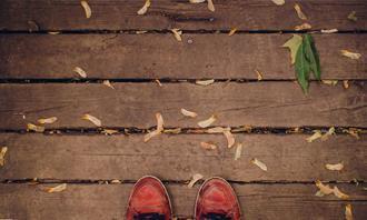 Encuentra las diferencias en otoño: hojas en un piso de madera