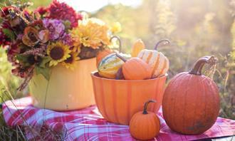 Encuentra las diferencias en otoño: calabazas y flores
