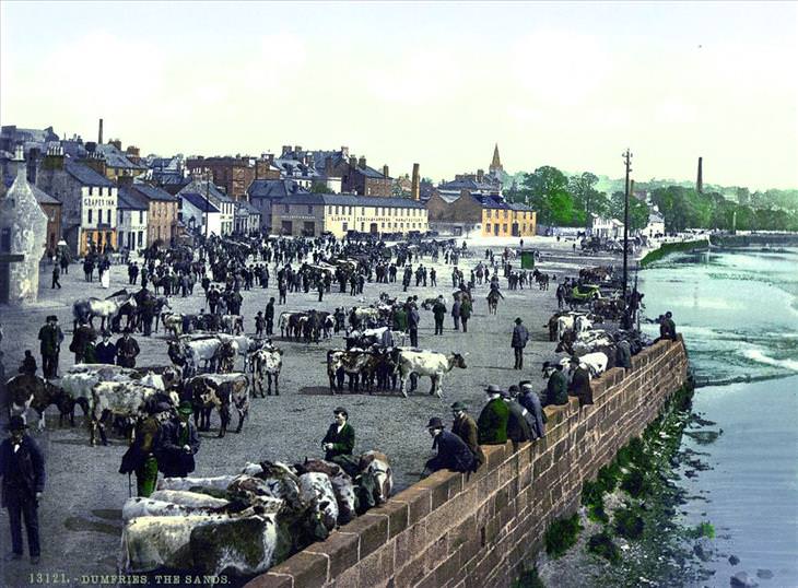 Postales De Escocia de 1890, los granjeros llevan su ganado a la ciudad comercial de Dumfries
