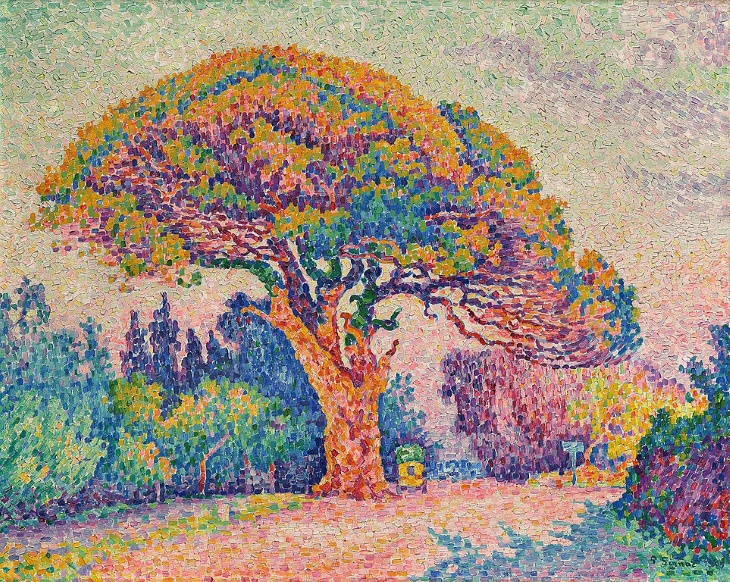 El pino en Saint Tropez (1909)