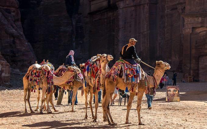 Verdadero Falso Test sobre Geografía Mundial:Camelleros en Jordania