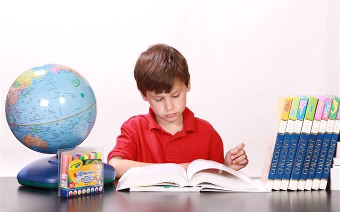 Verdadero Falso Test sobre Geografía Mundial: un niño aprende geografía