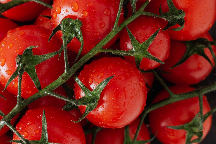 Hechos Fascinantes Sobre La Comida, tomates