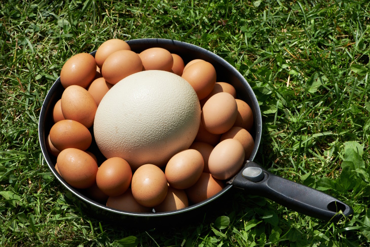 Hechos Fascinantes Sobre La Comida, huevo de avestruz