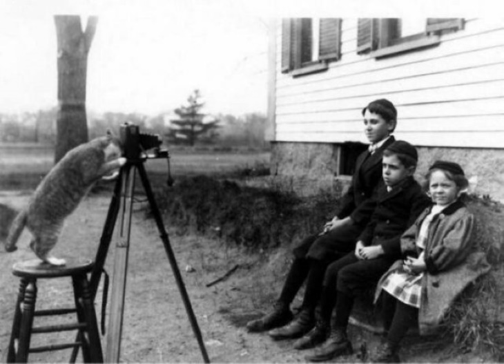 Fotos Históricas, "Tres miembros de la familia Payro siendo 'fotografiados' por su gato: Edmund, Ernest y Cecilia (1909)"