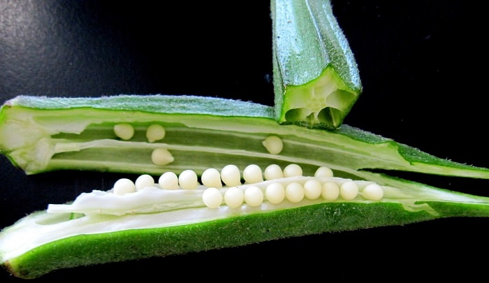 Beneficios Saludables De La Okra,  planta de la okra