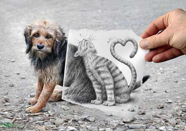 Maravillosos Dibujos Del Artista Ben Heine, perro y gato