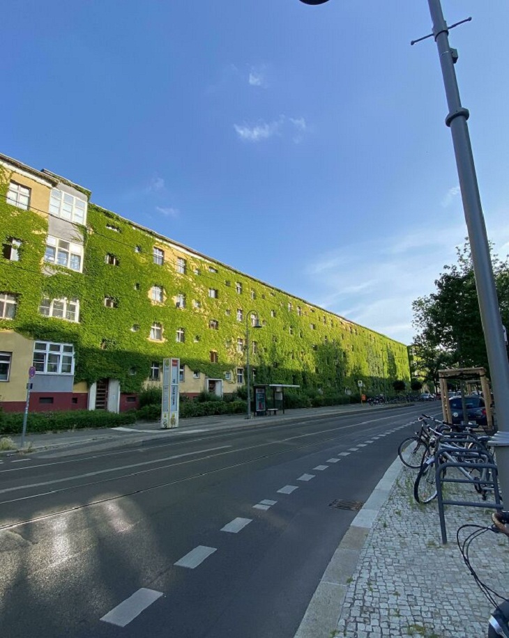 Diseños Urbanos, Casas verdes en Berlín