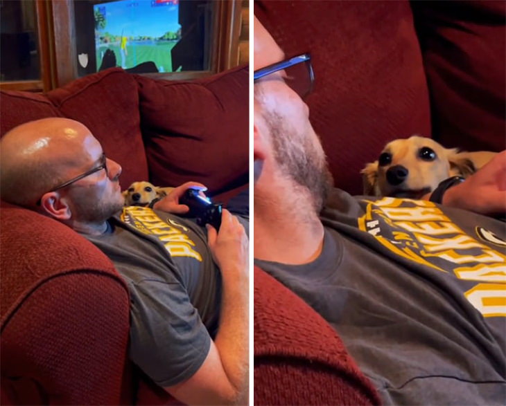La Mirada Amorosa De Las Mascotas a Sus Dueños, un hombre jugando videojuegos  y su perro