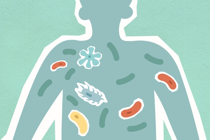 Un cuerpo humano lleno de bacterias y probióticos