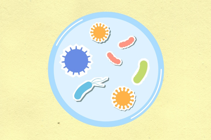 Probióticos en una caja de petri