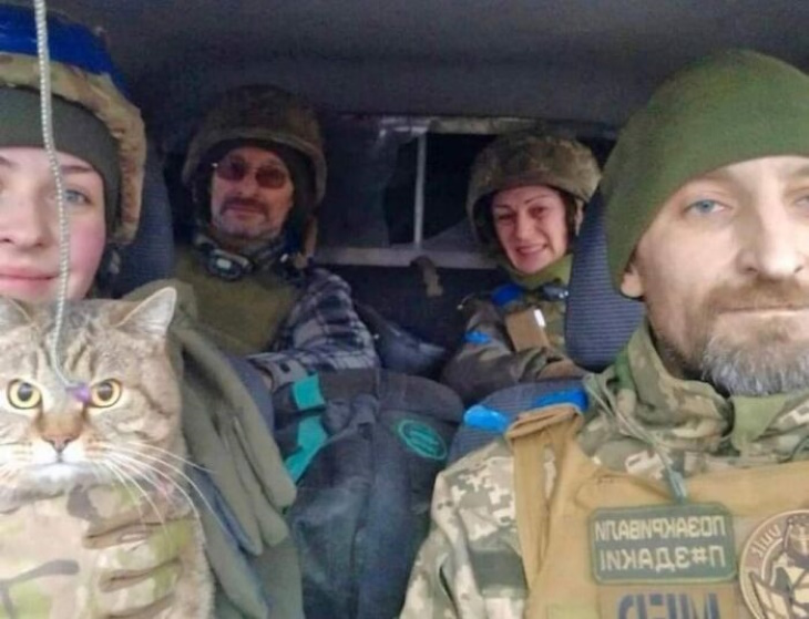 Preciosos Momentos De Animales, soldados y su gato