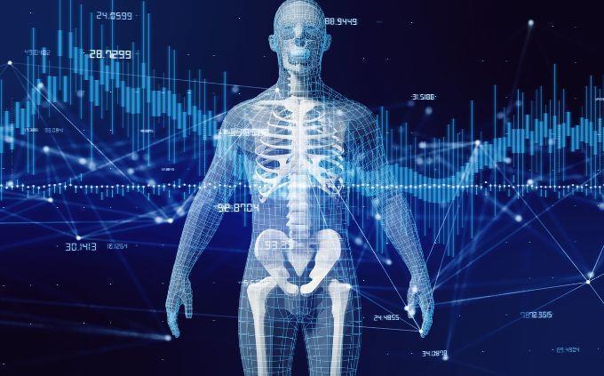 Cuál es tu nivel de conocimientos generales: el esqueleto del cuerpo humano
