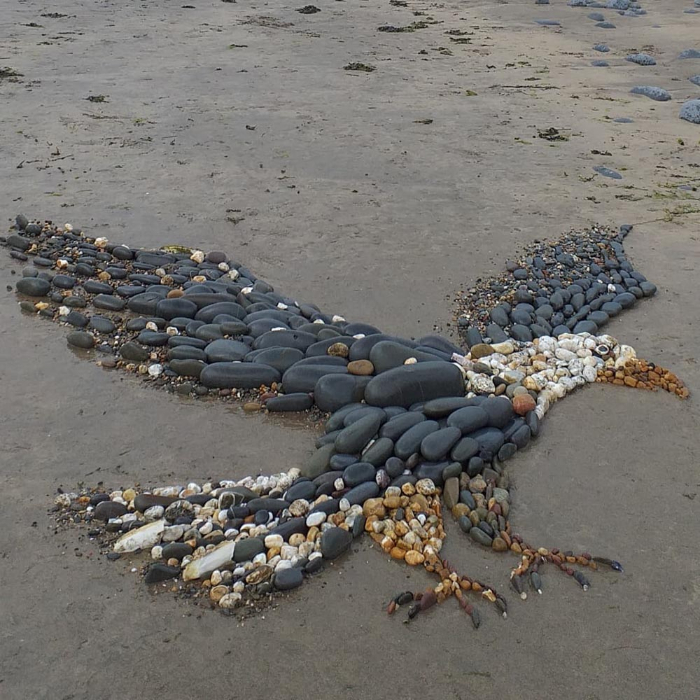 Arte De Playa, águila