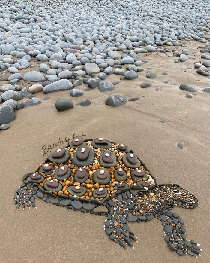 Arte De Playa,  tortuga
