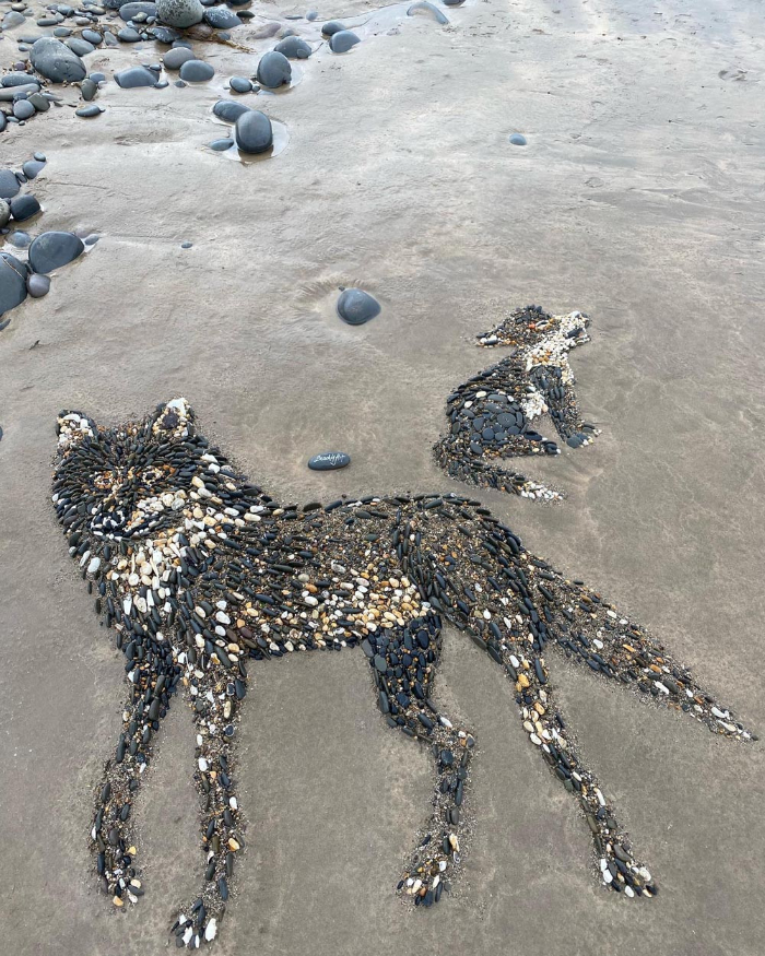 Arte De Playa, lobos