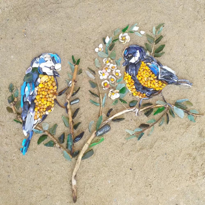 Arte De Playa, aves