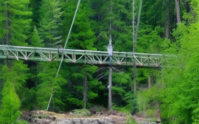 Inteligencia artificial o imagen real: un puente en el bosque