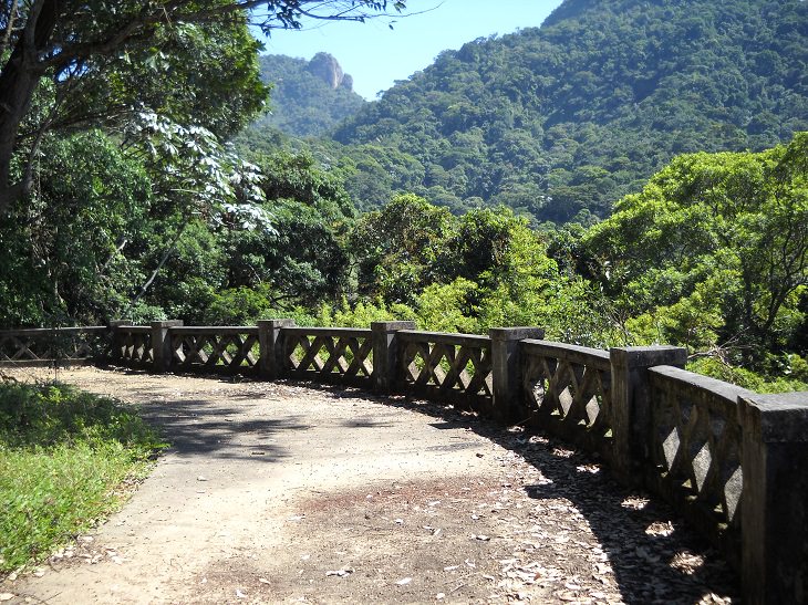 Atracciones Turísticas En Río De Janeiro, Parque Nacional Tijuca