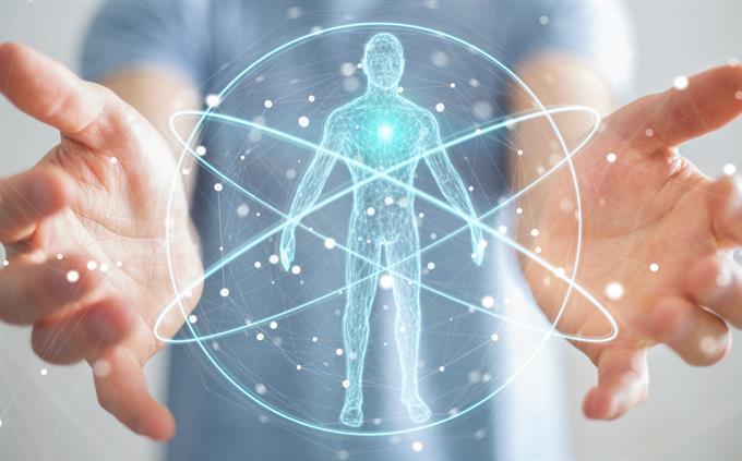 Trivia del cuerpo humano: un holograma del cuerpo humano