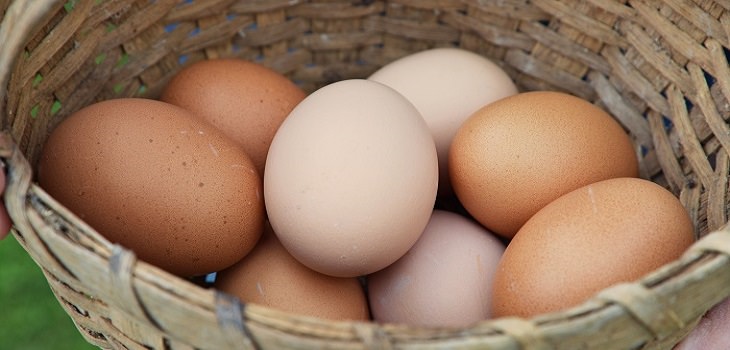 12 Alimentos Que Ayudan a Nuestros Riñones, huevos