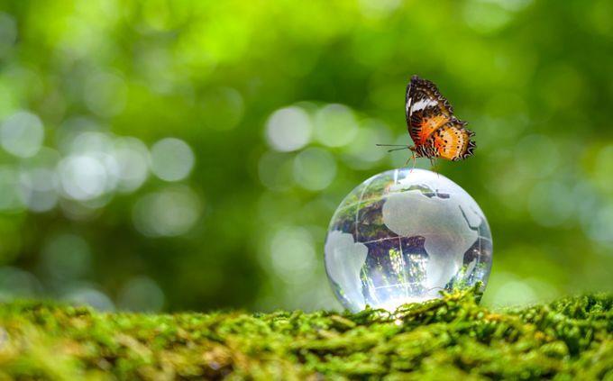 Qué planeta coincide con tu personalidad: una mariposa en una tierra de cristal