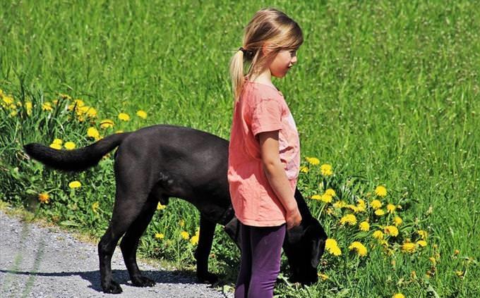 Una niña de pie junto a un perro negro.