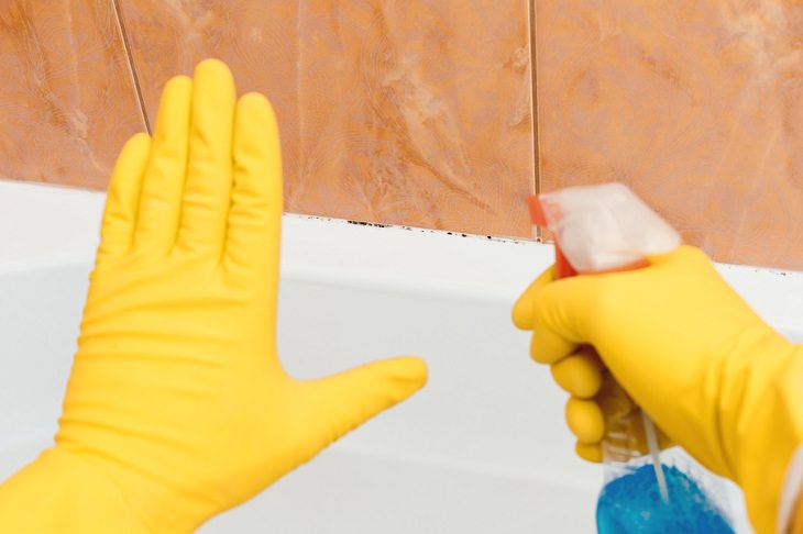 Consejos De Limpieza Para Personas Con Alergias, elimina el crecimiento de moho y hongos del baño