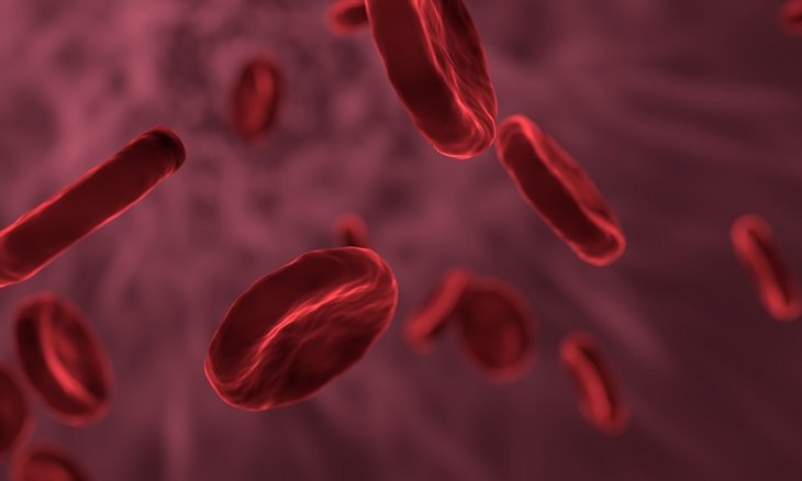 Beneficios Para La Salud De La Sémola, ayuda a prevenir la anemia