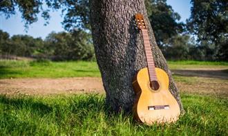 Qué jardín se esconde en tu alma: una guitarra en el tronco de un árbol