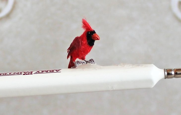 Animales En Miniatura, cardenal rojo
