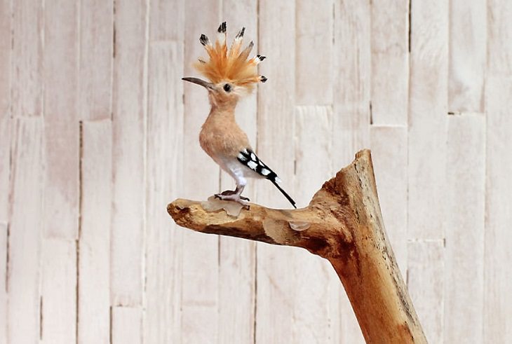 Animales En Miniatura, ave con plumas en la cabeza