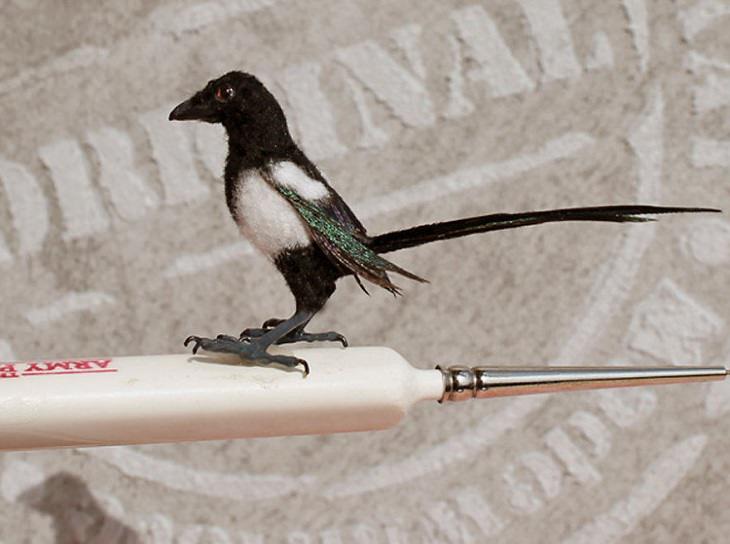 Animales En Miniatura, ave negra con blanco