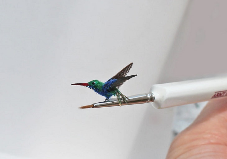 Animales En Miniatura, colibrí