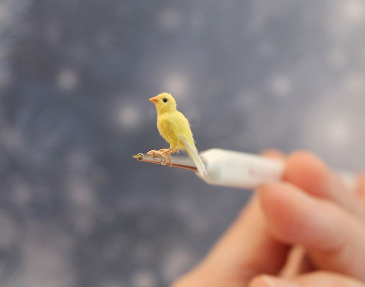 Animales En Miniatura, ave amarilla