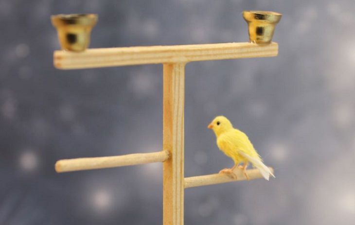 Animales En Miniatura, ave amarilla