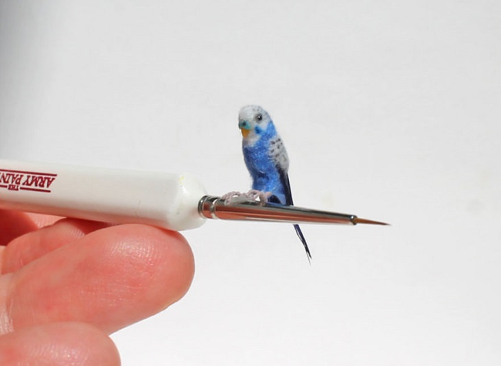 Animales En Miniatura, ave azul