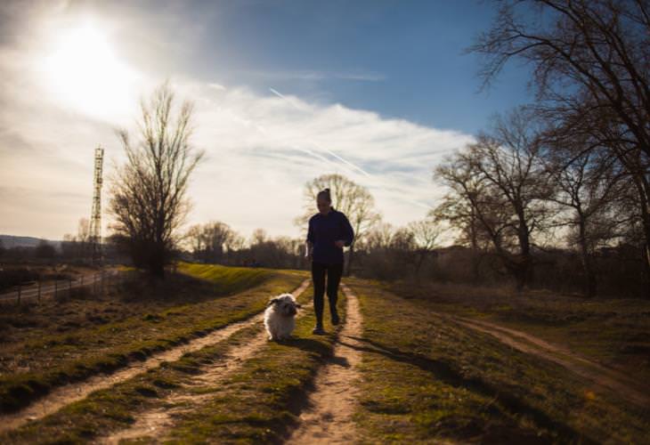 6 Consejos De Seguridad Para Correr Con Tu Perro, hombre caminando con su perro