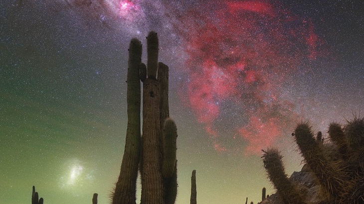 Fotógrafo do Ano da Via Láctea o vale dos cactus, Chile
