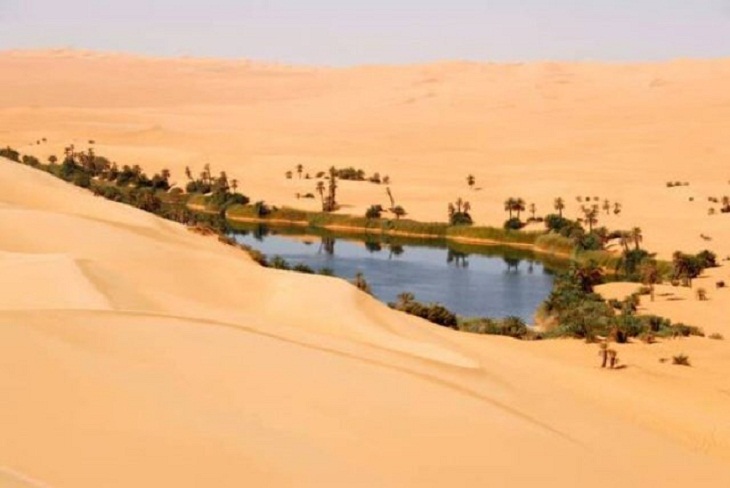  Cosas Interesantes Del Mundo, oasis en el desierto